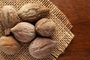 O que são doshas no Ayurveda e por que eles são tão importantes?
