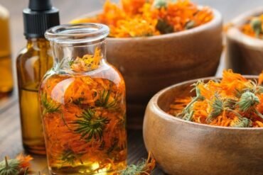 Panchamahabhutas: os 5 elementos no Ayurveda