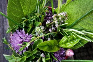 Rasayana: a fonte da juventude no Ayurveda