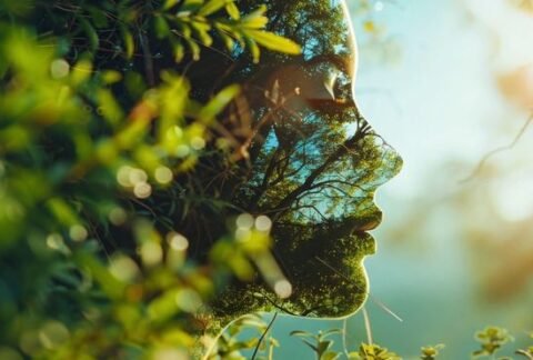 Sementes de Gaia